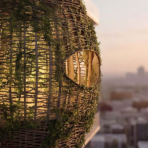 Sky Nests